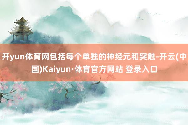 开yun体育网包括每个单独的神经元和突触-开云(中国)Kaiyun·体育官方网站 登录入口